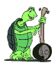 tortu banjo ani